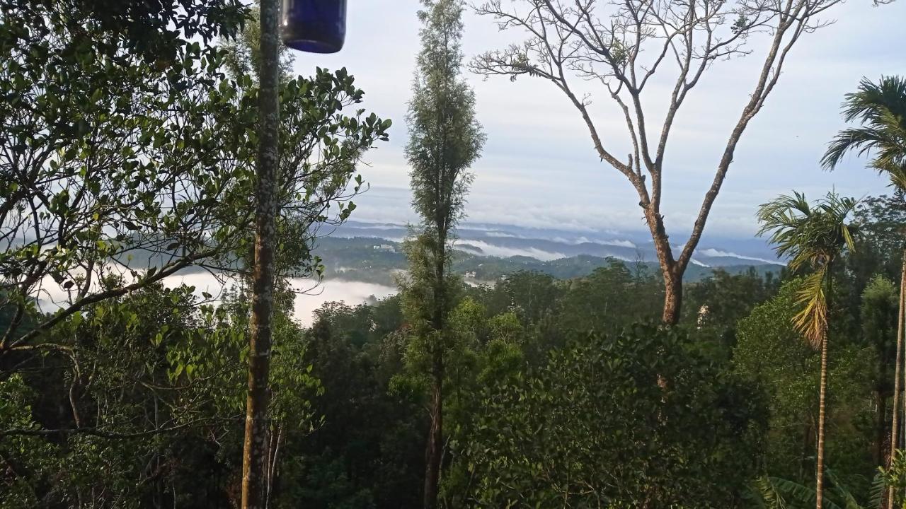 Munnar Home Stay Teadrops Plantation Villa Exterior foto