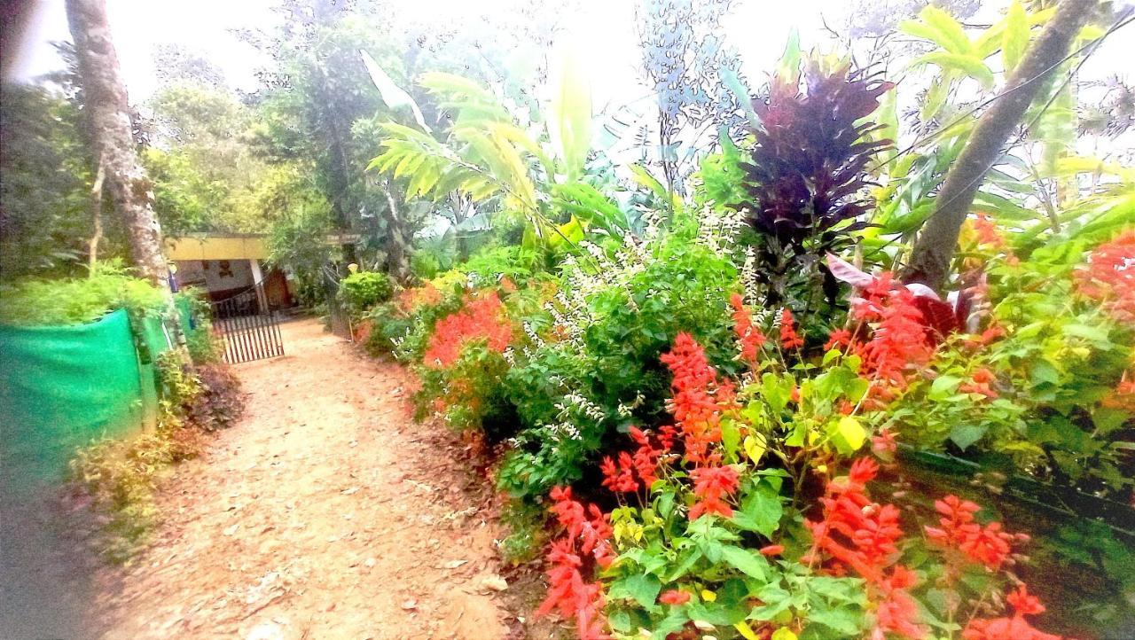 Munnar Home Stay Teadrops Plantation Villa Exterior foto