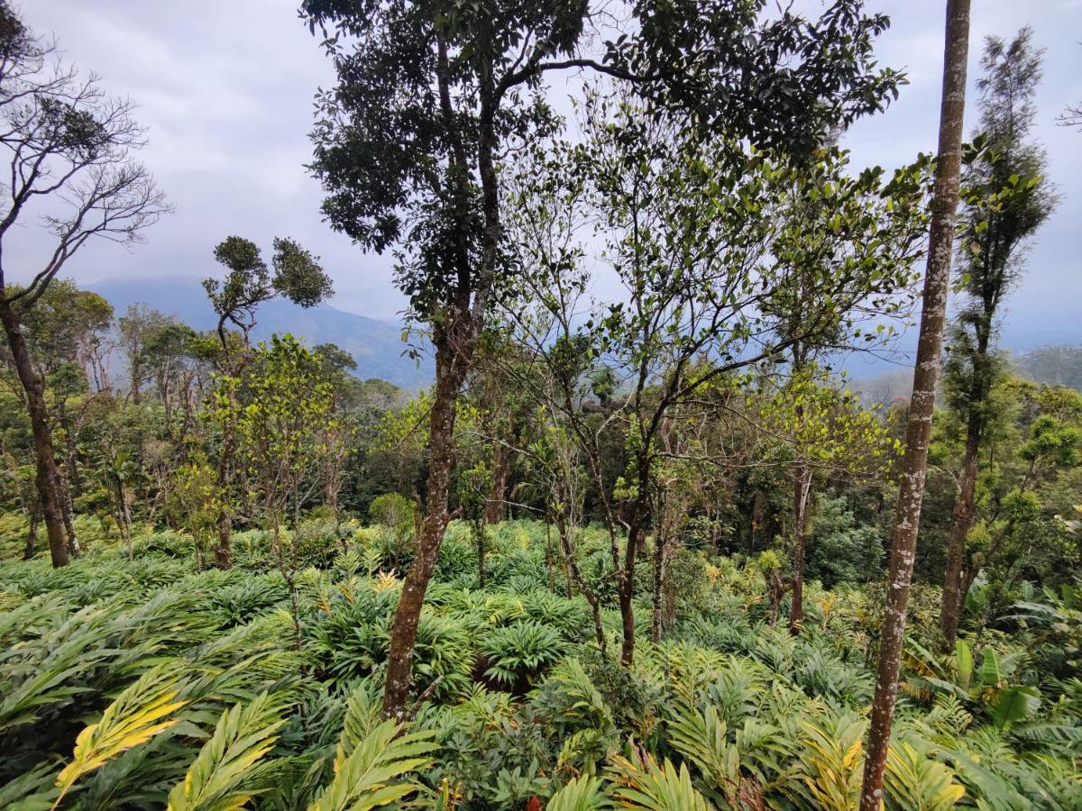 Munnar Home Stay Teadrops Plantation Villa Exterior foto