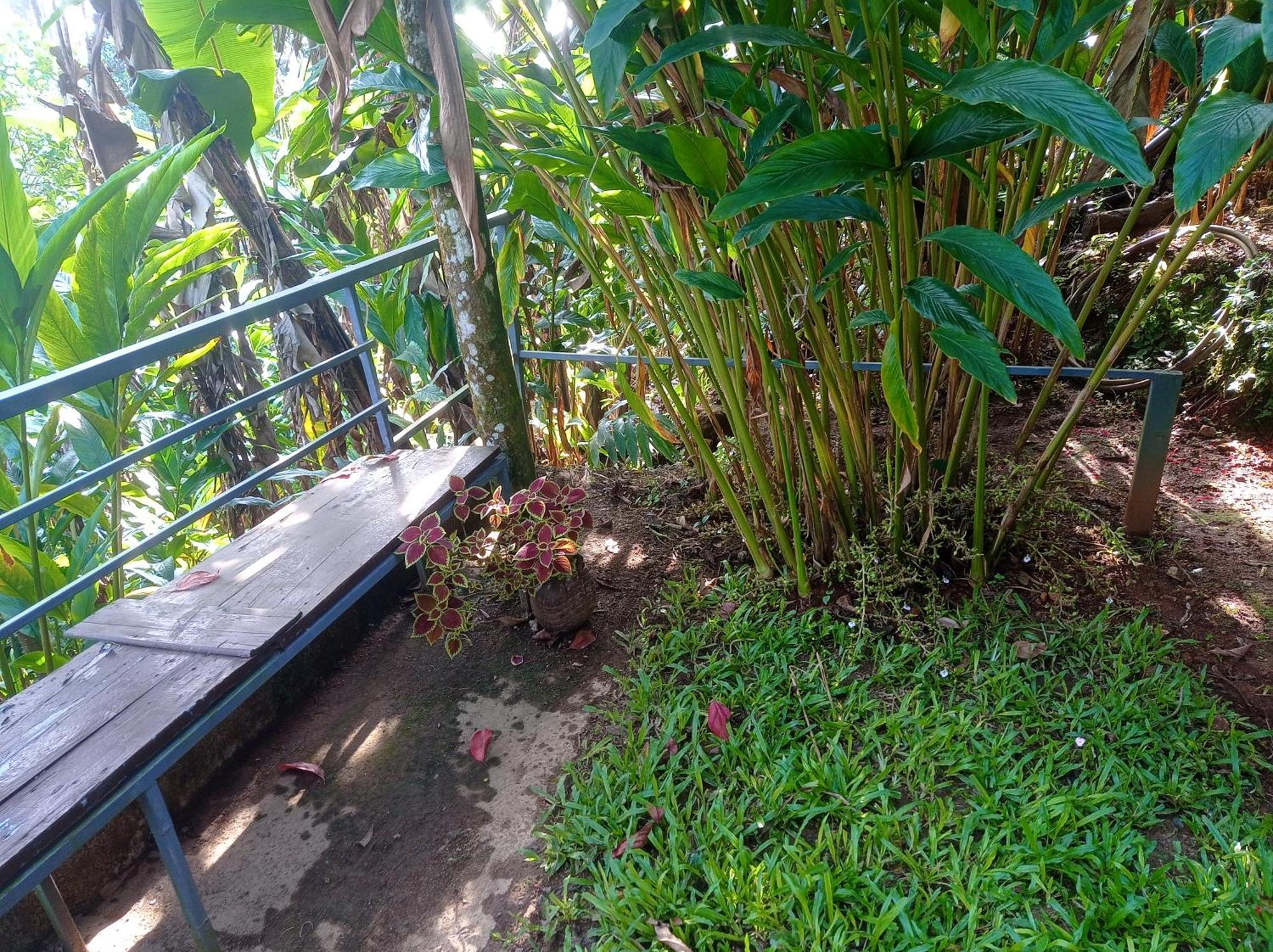 Munnar Home Stay Teadrops Plantation Villa Exterior foto